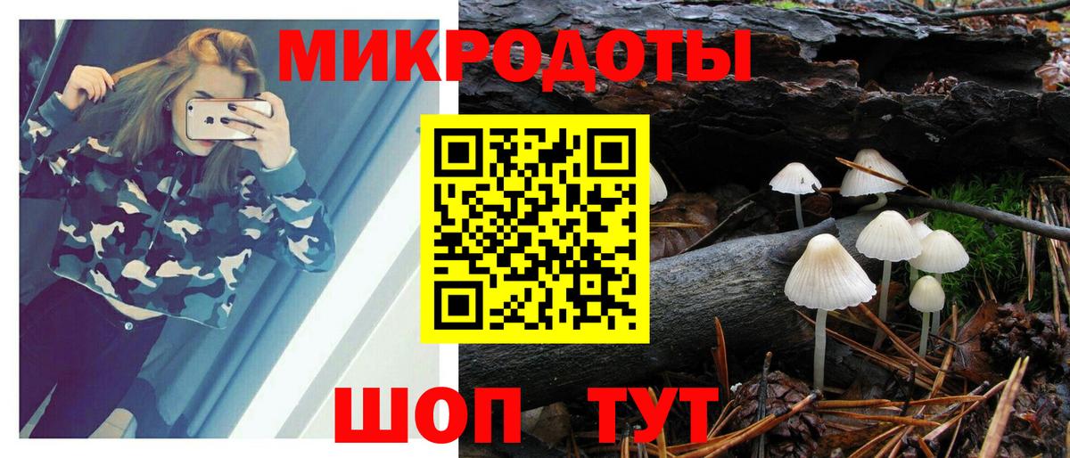 Псилоцибиновые грибы Psilocybe  Вход с VPN  Псилоцибиновые грибы мицелий  Надым 