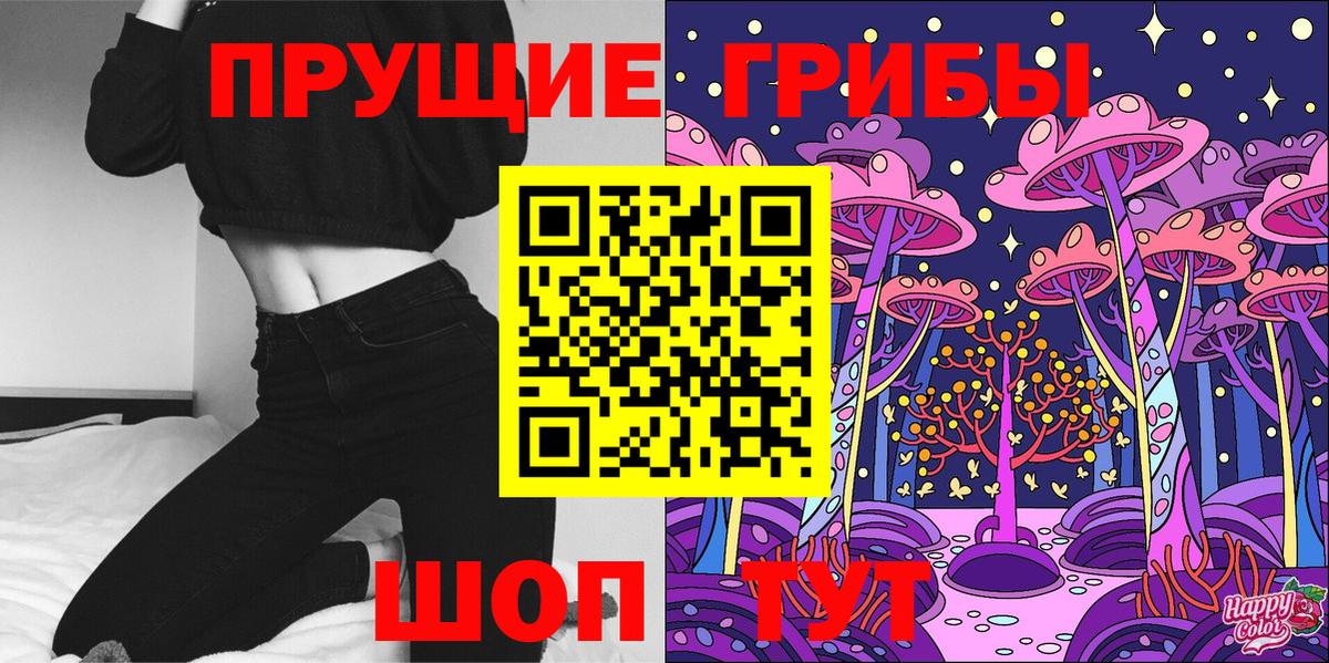Галлюциногенные грибы Psilocybine cubensis Надым